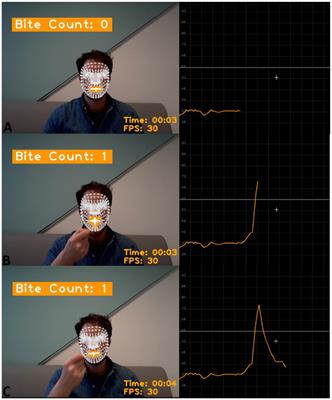 Rule-based systems to automatically count bites from meal videos